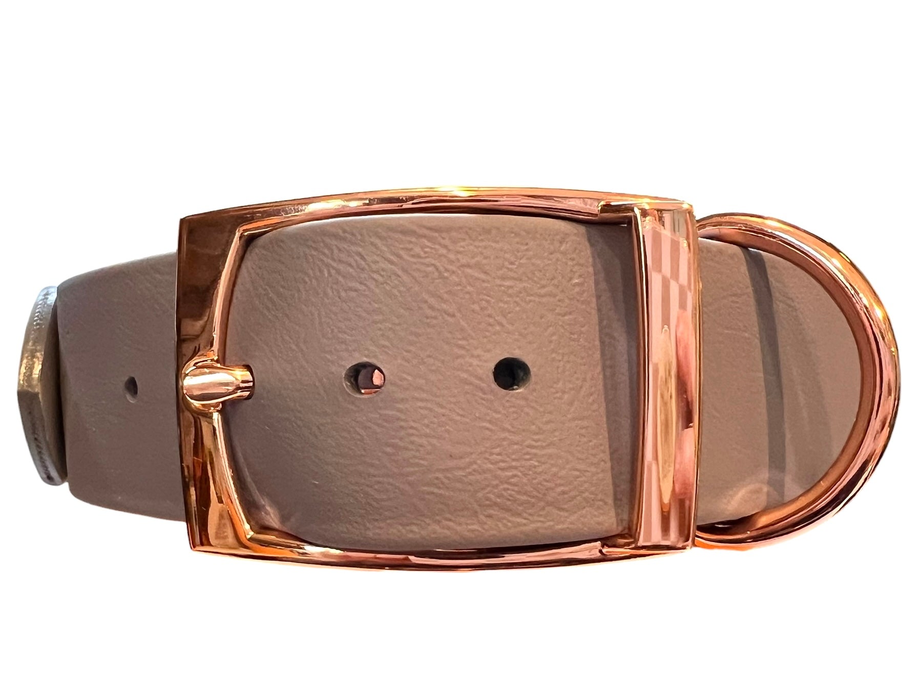 14-16.5" Pretty in Camo Collar