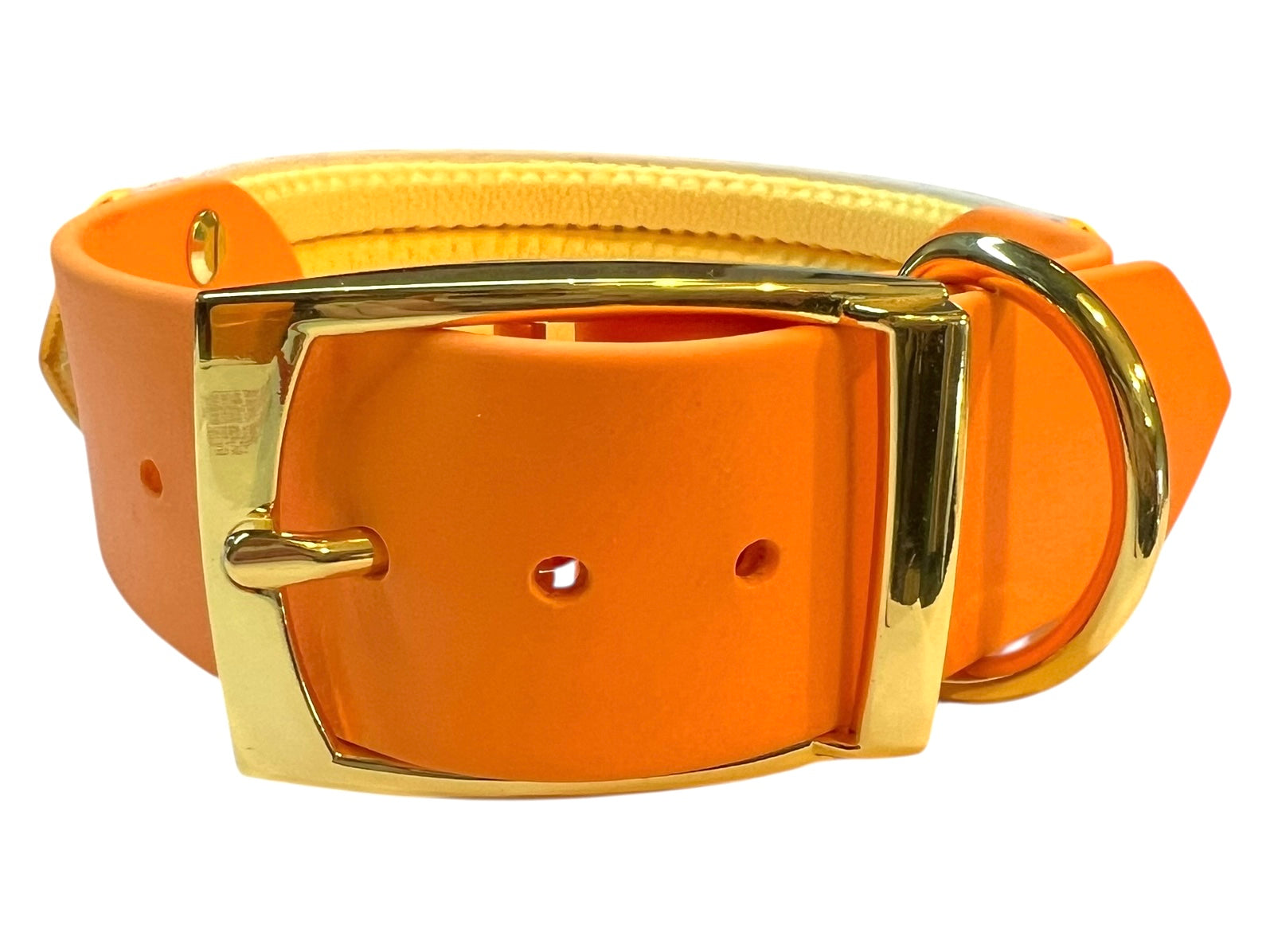 14.5-16" Jungle Bloom Collar