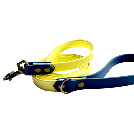 6' Pastel Yellow & Navy Leash