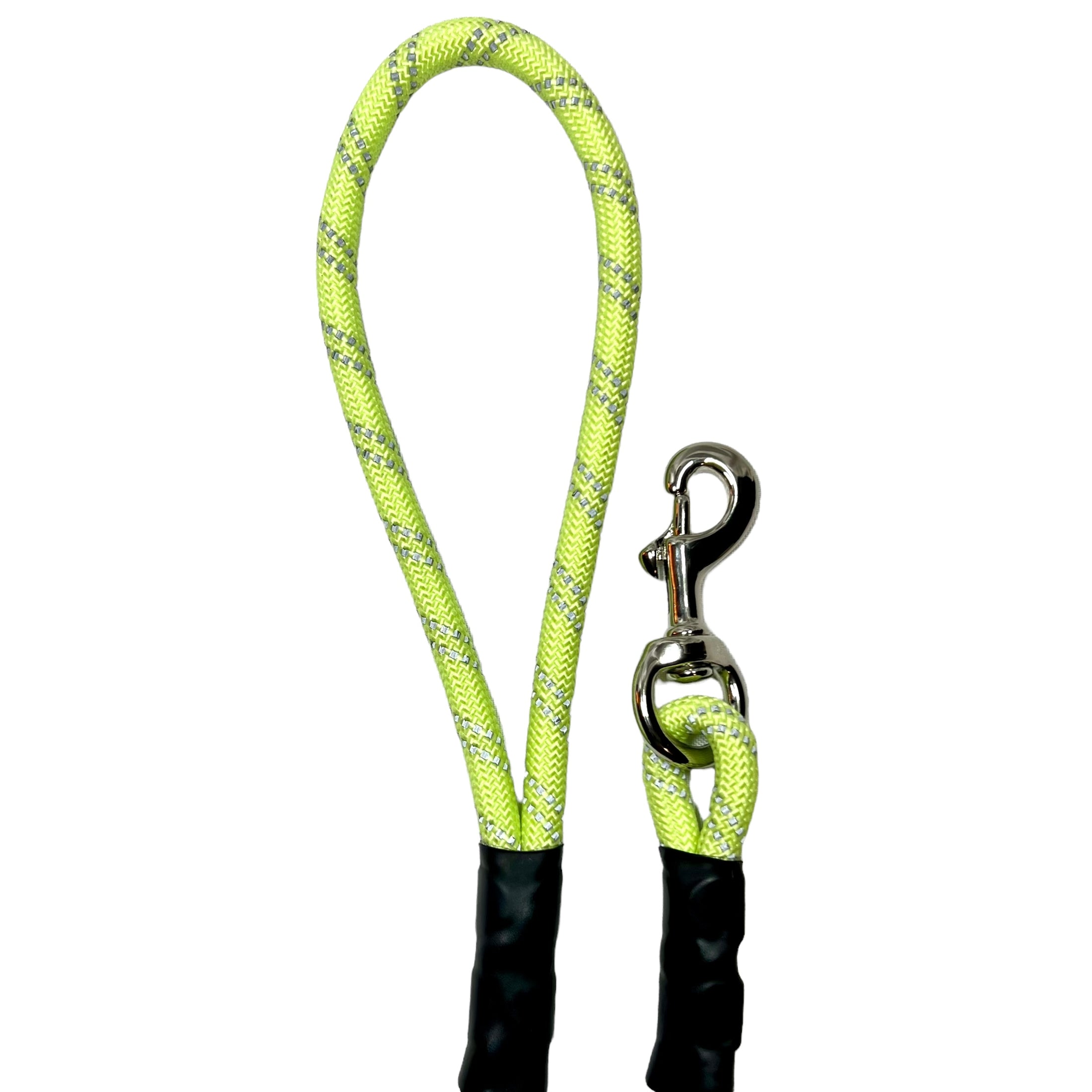 Glow & Reflect 6' Leash