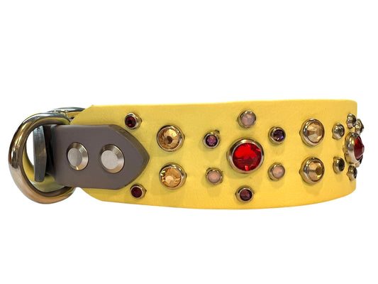 13.5-17" Golden Hour Padded Collar