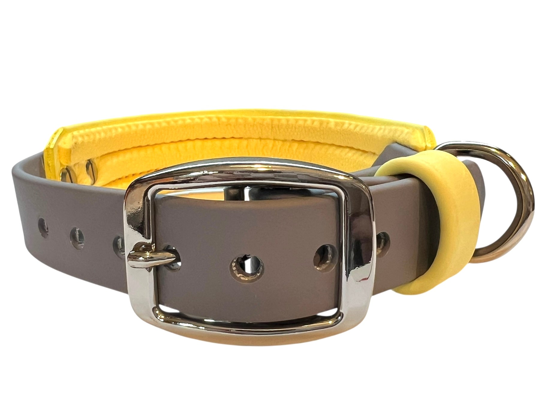 13.5-17" Golden Hour Padded Collar