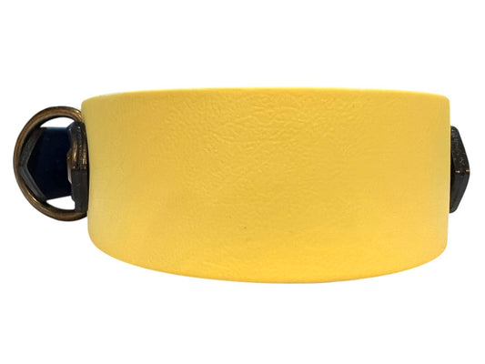 10.5-13" Sun & Sea Padded Collar