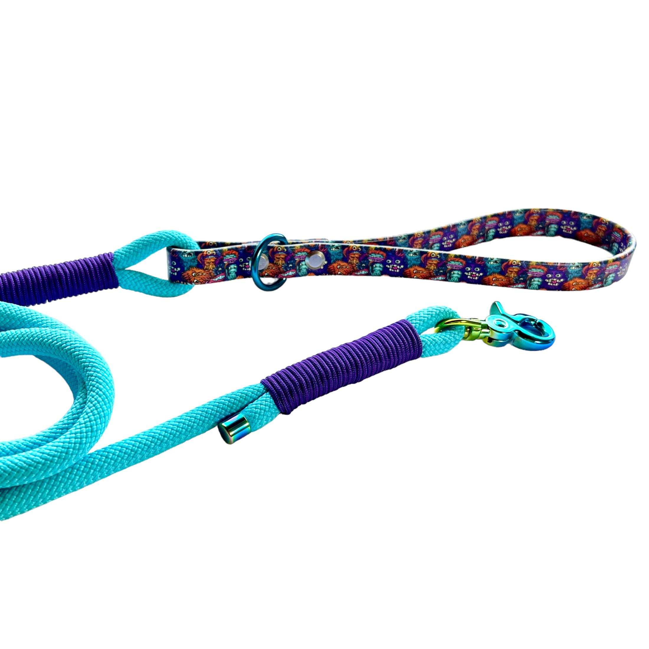 6' Purple & Sky Blue Leash