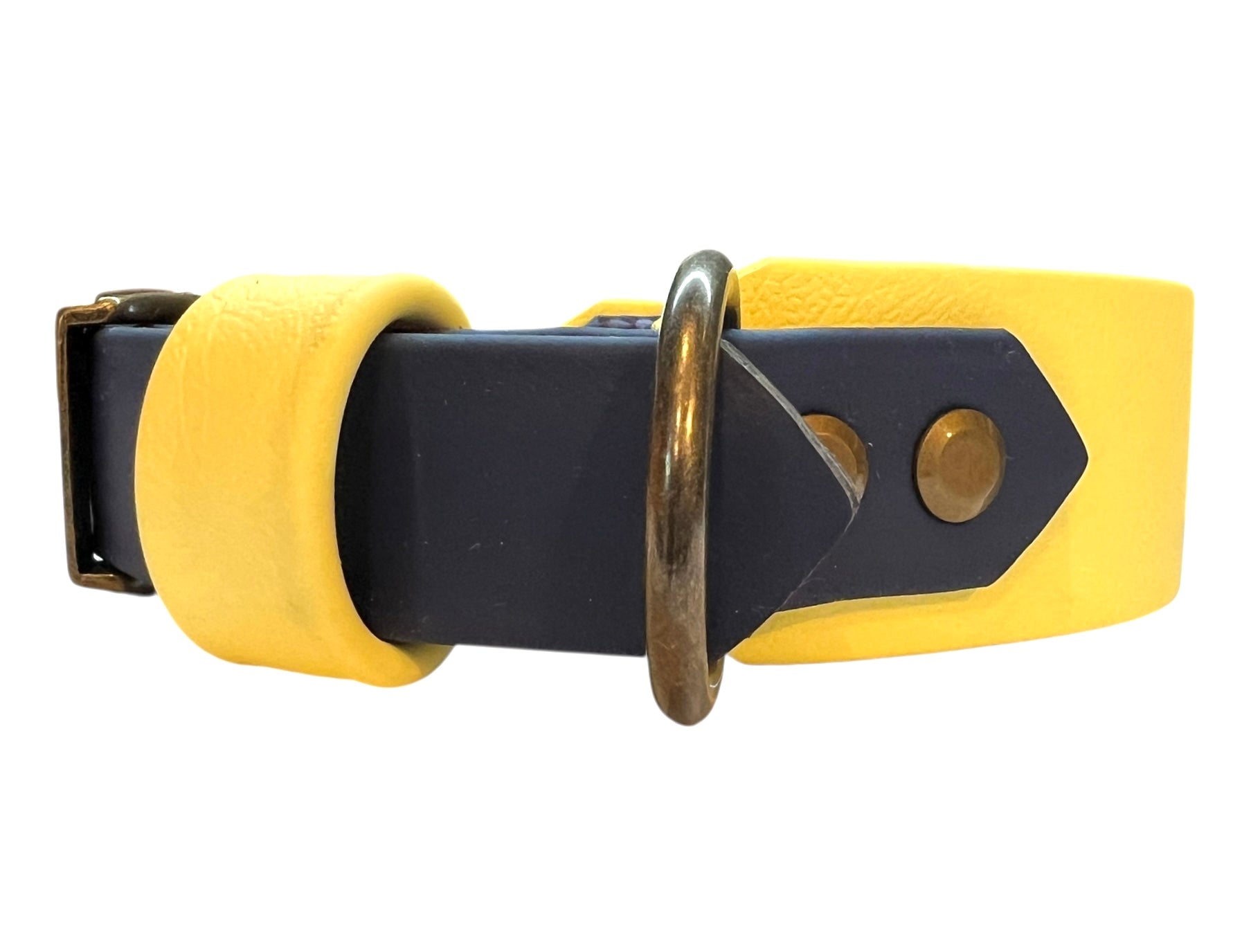 10.5-13" Sun & Sea Padded Collar