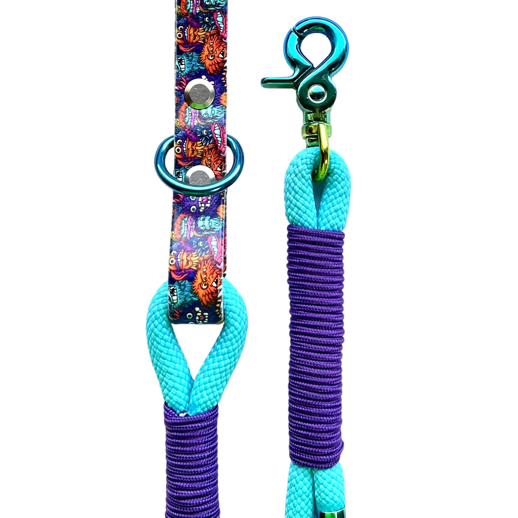 6' Purple & Sky Blue Leash