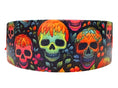 Load image into Gallery viewer, 12-14.5" Neon Afterlife Padded Collar
