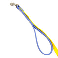 Load image into Gallery viewer, Periwinkle & Yellow 6' Leash with Traffic Handle
