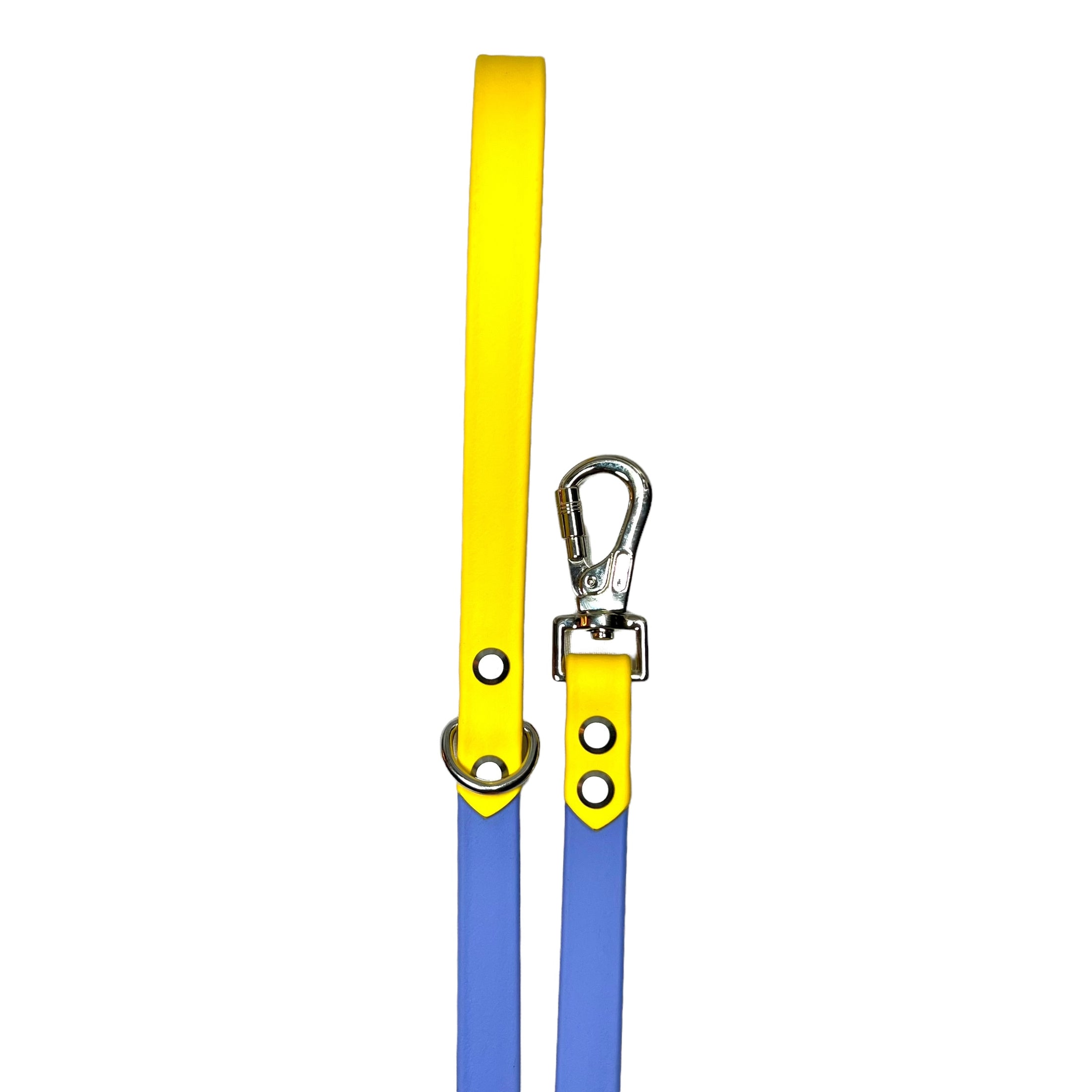 Periwinkle & Yellow 6' Leash