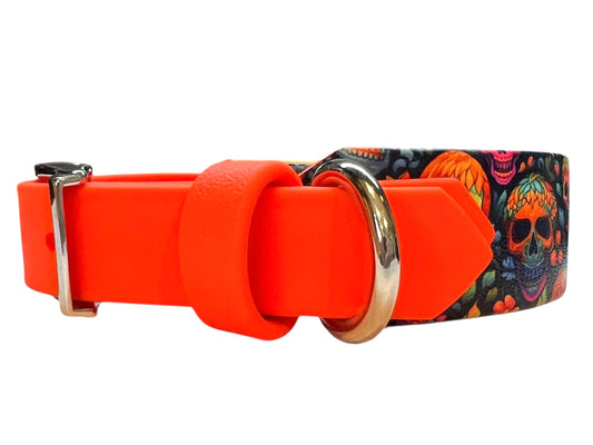 12-14.5" Neon Afterlife Padded Collar