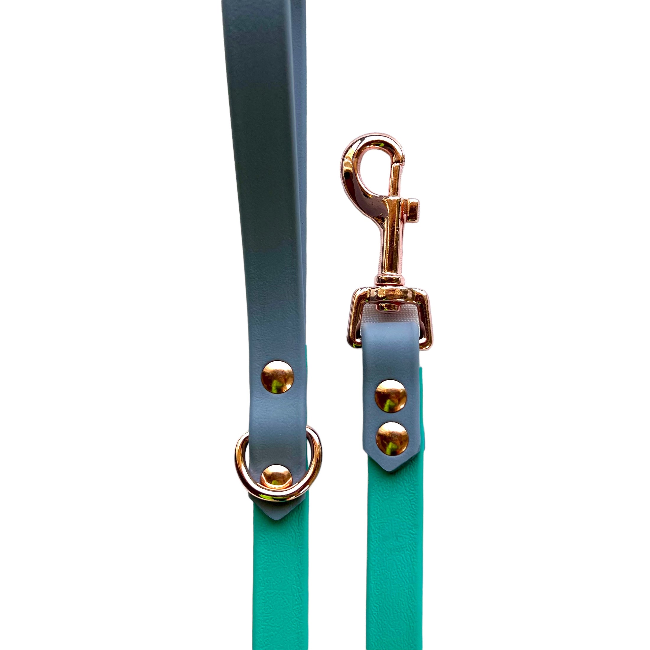 6' Turquoise & Gray Leash