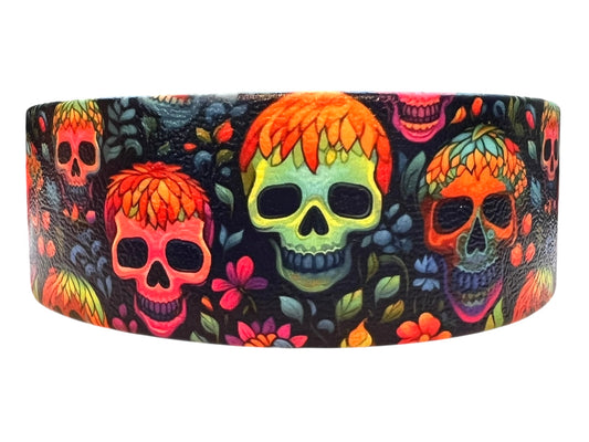 14-16.5" Neon Afterlife Collar
