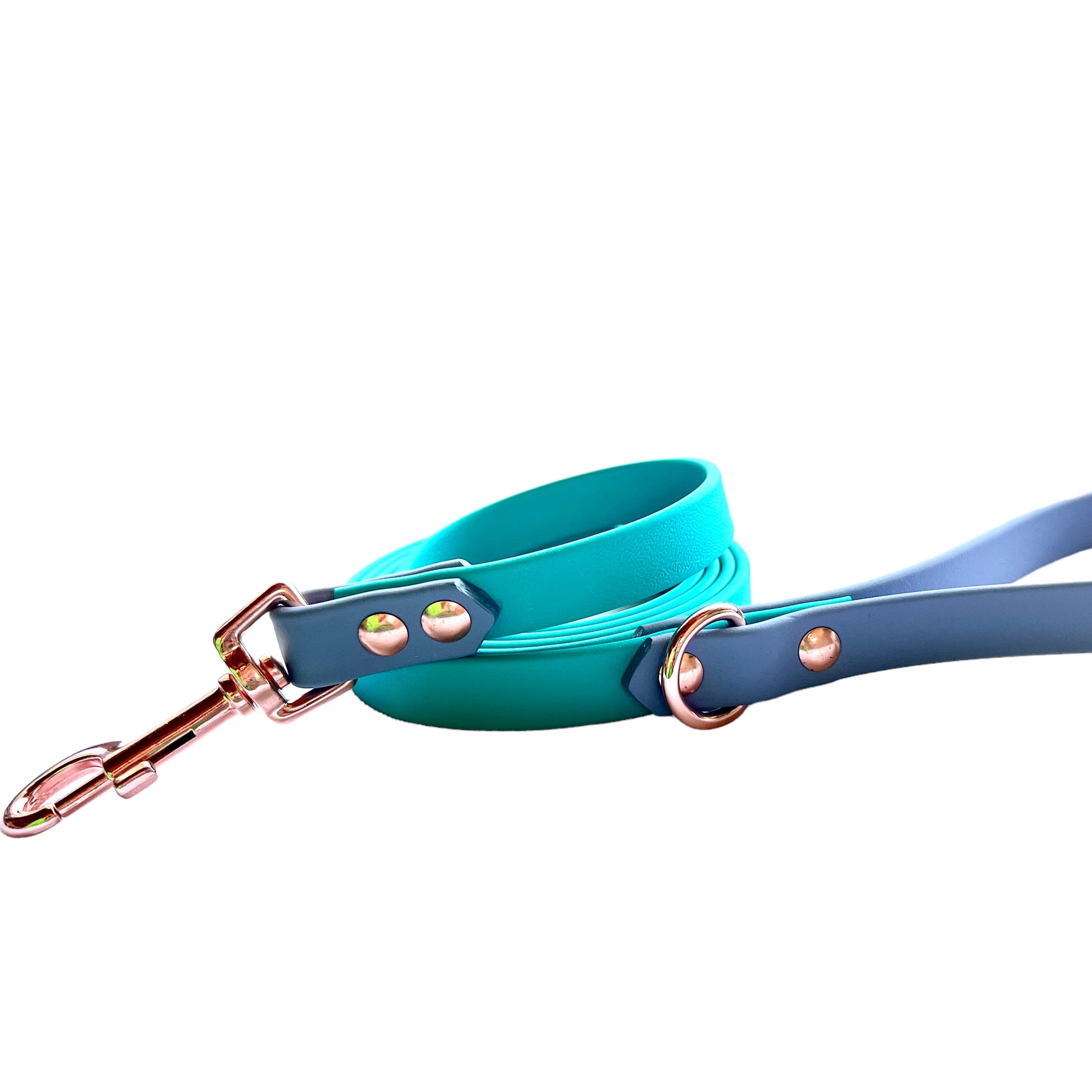 6' Turquoise & Gray Leash