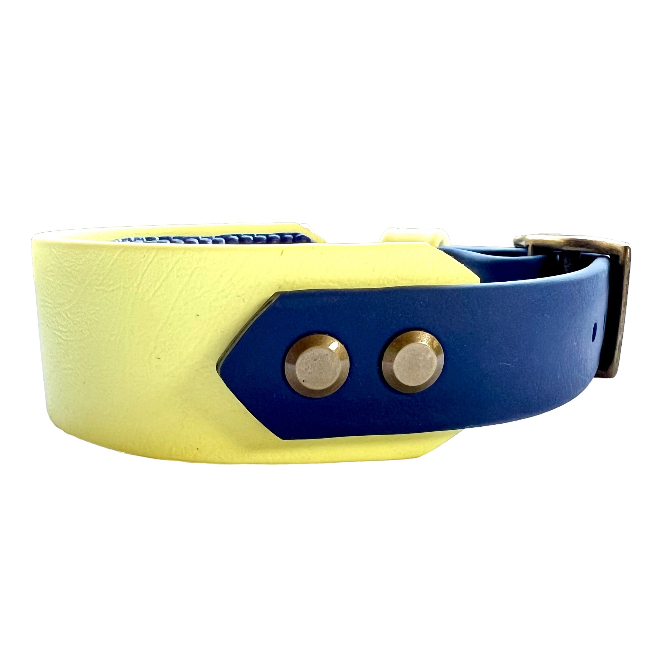 11-13.5" Pastel Yellow & Navy Collar