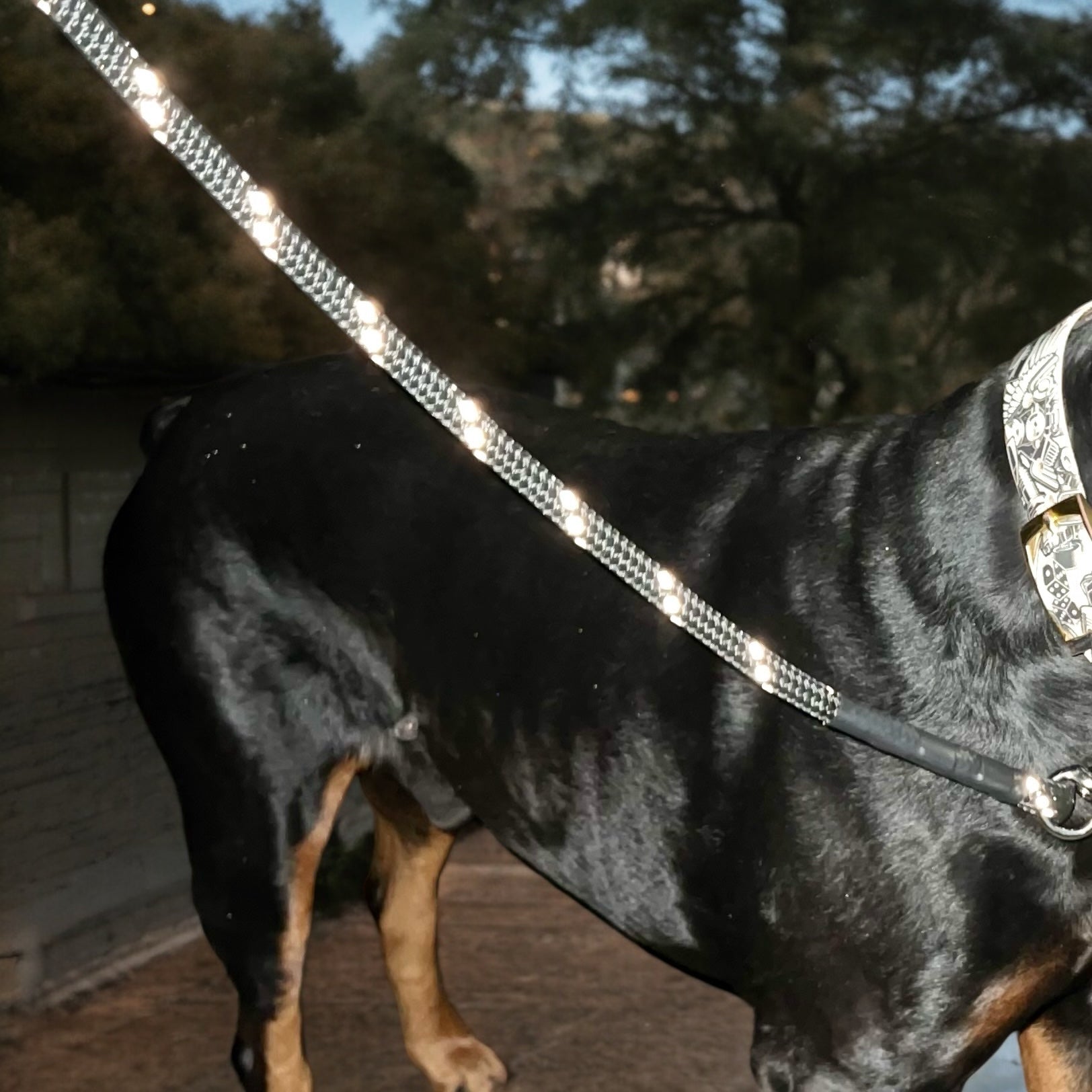 Reflective Rope Leash