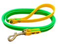 Load image into Gallery viewer, Sunshine Sprout 6' Leash
