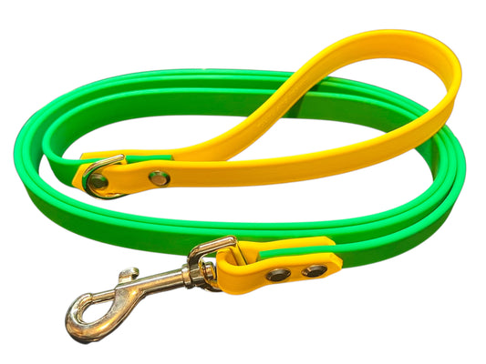 Sunshine Sprout 6' Leash