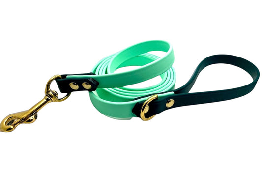 Moss & Mist 6' Leash