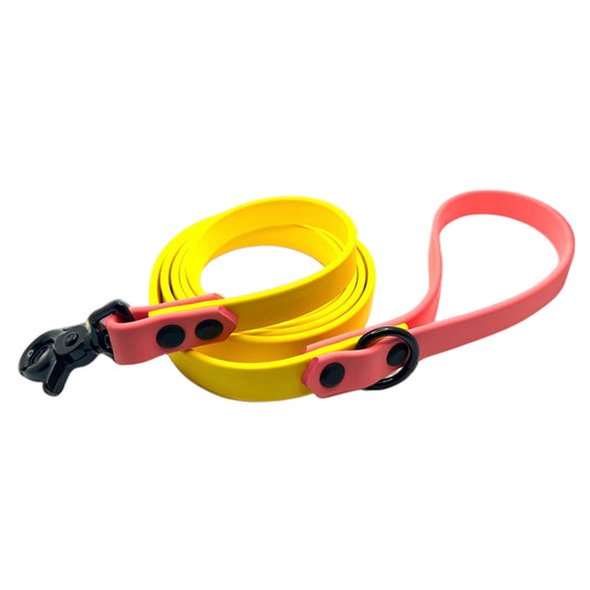 Sunset Zest 6' Leash